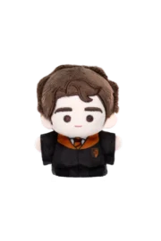 Labubu Harry Potter wizarding world series Finger Puppet box